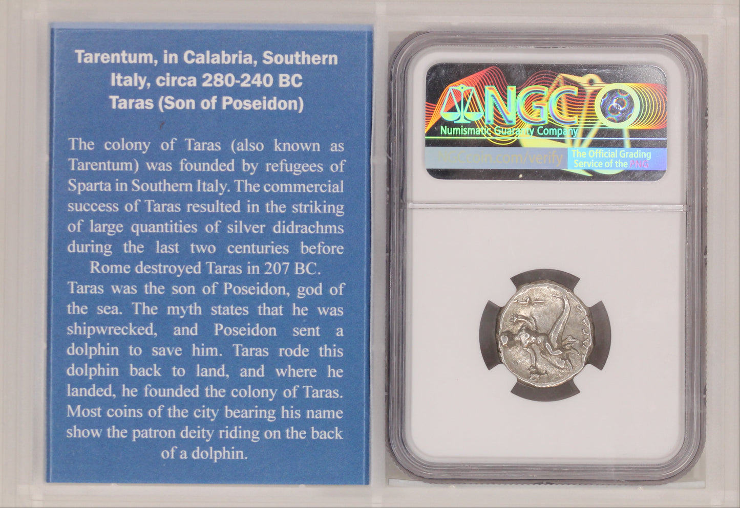 Calabria, Taras AR Didrachm 280-240 BC NGC Ch VF