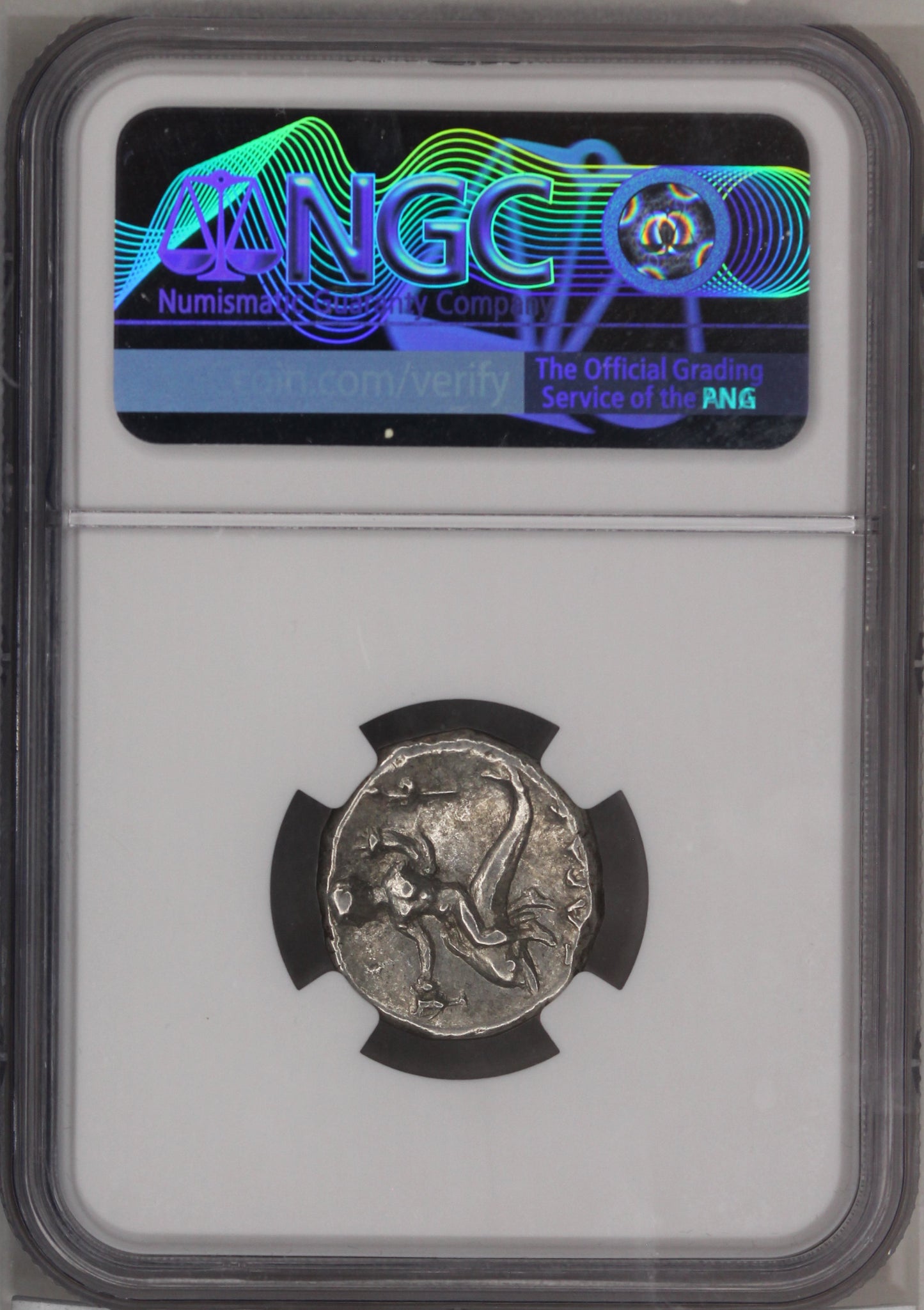 Calabria, Taras AR Didrachm 280-240 BC NGC Ch VF