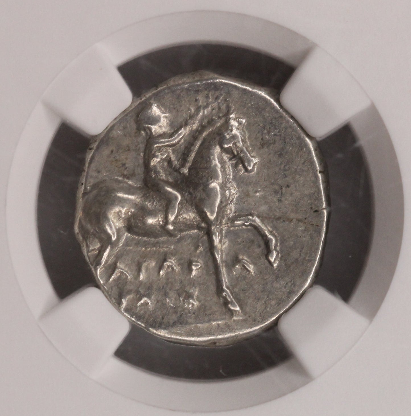 Calabria, Taras AR Didrachm 280-240 BC NGC Ch VF