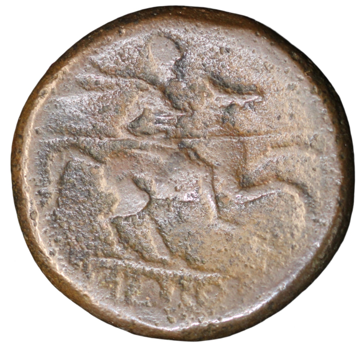 Sicily Syracuse Hieron II, 275-215 BC /E
