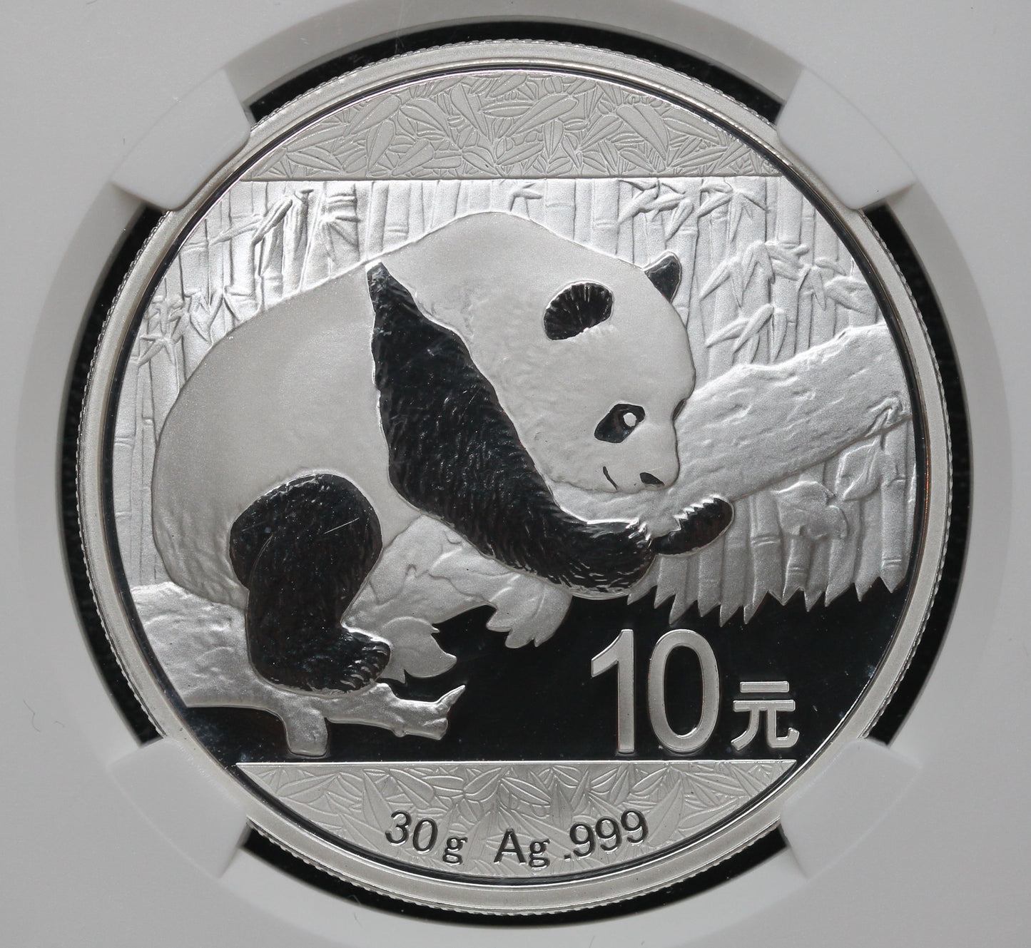 2016 China S 10Y Panda Early Releases MS69 NGC