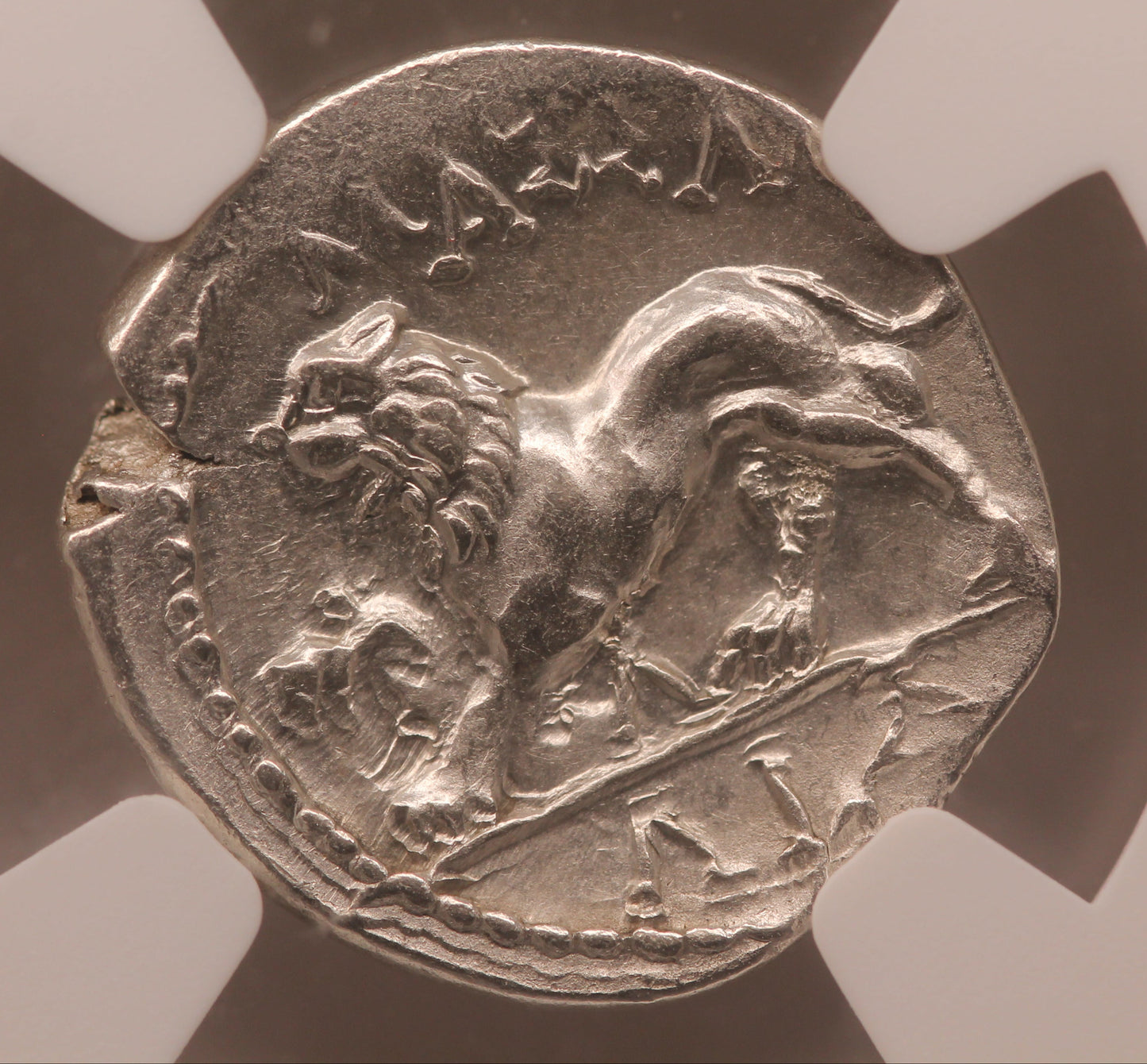 Gaul, Massalia AR Drachm 2nd-1st Centuries BC AU NGC