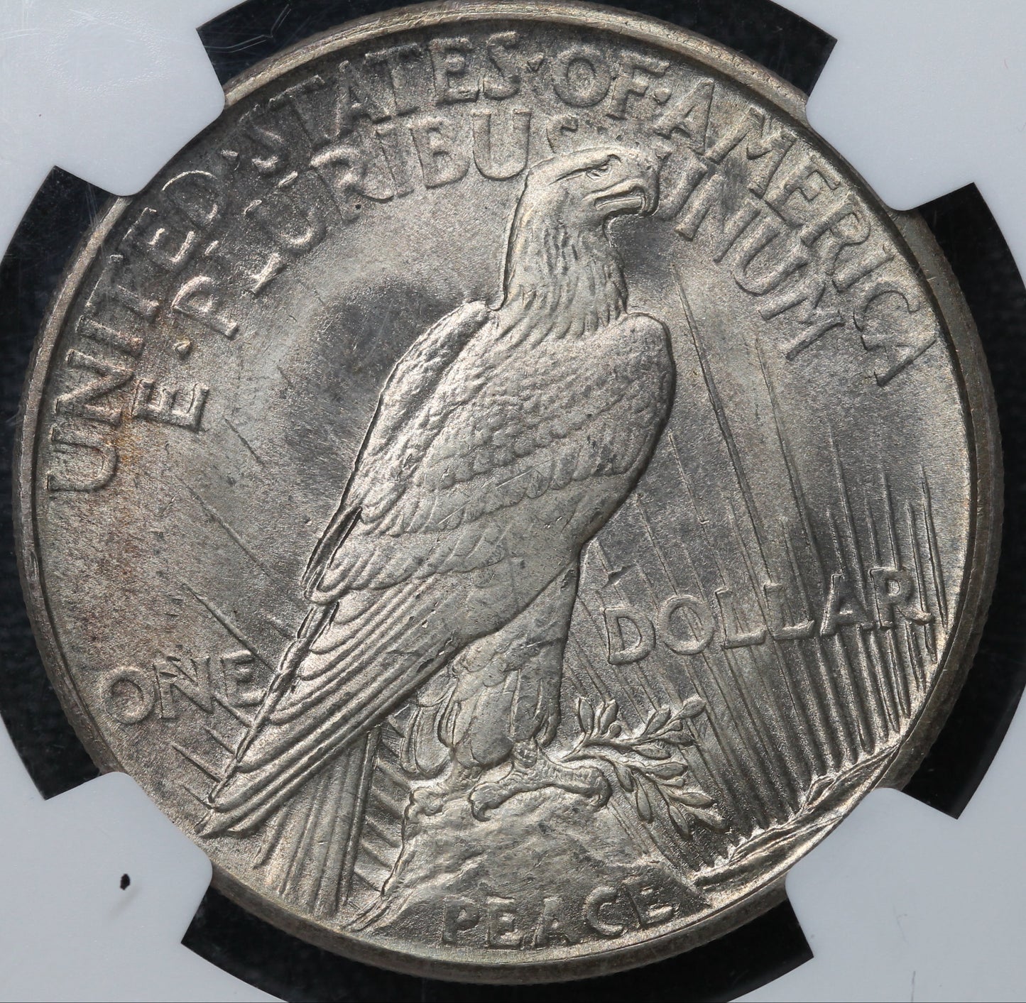 1921 Peace Dollar High Relief MS66 NGC