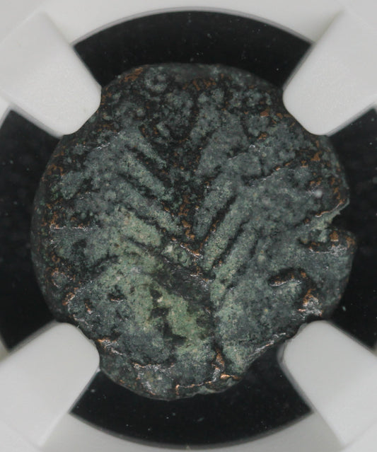 Judea Procurators Porcius Festus, AD 59-62 AE Prutah under Nero, AD 59 NGC VF "Money of the Bible"