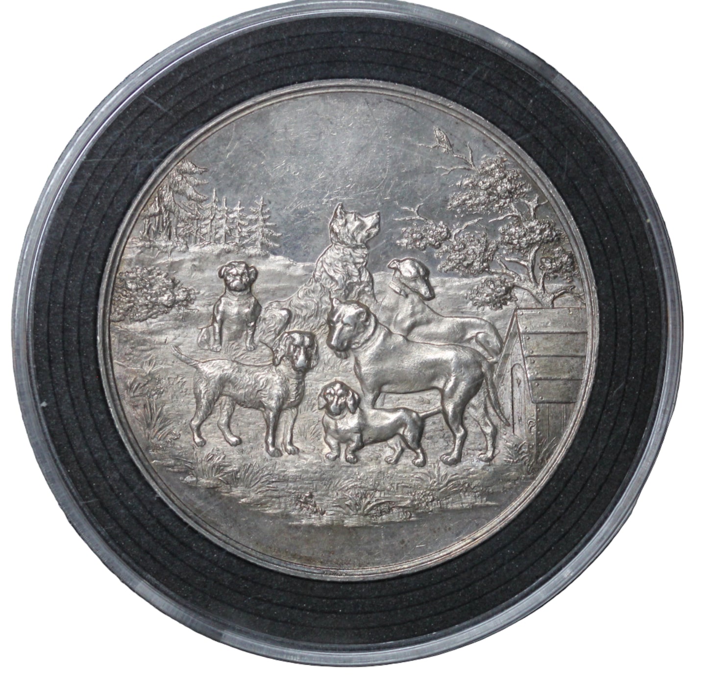 1897 Arnsberg, Germany Medal