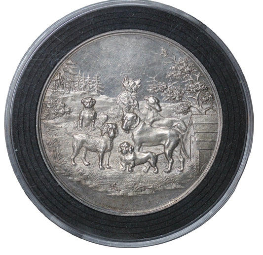 1897 Arnsberg, Germany Medal