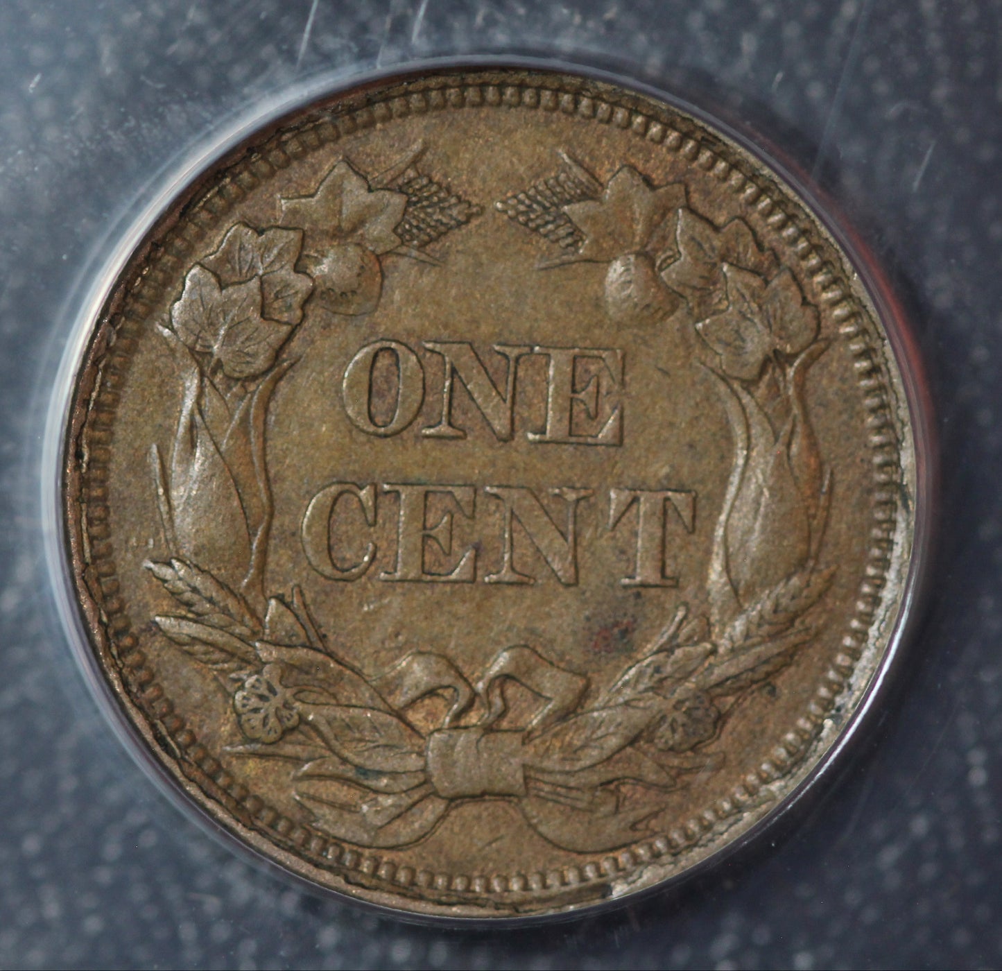 1858 Flying Eagle Cent, Small Letters, ANACS AU 50
