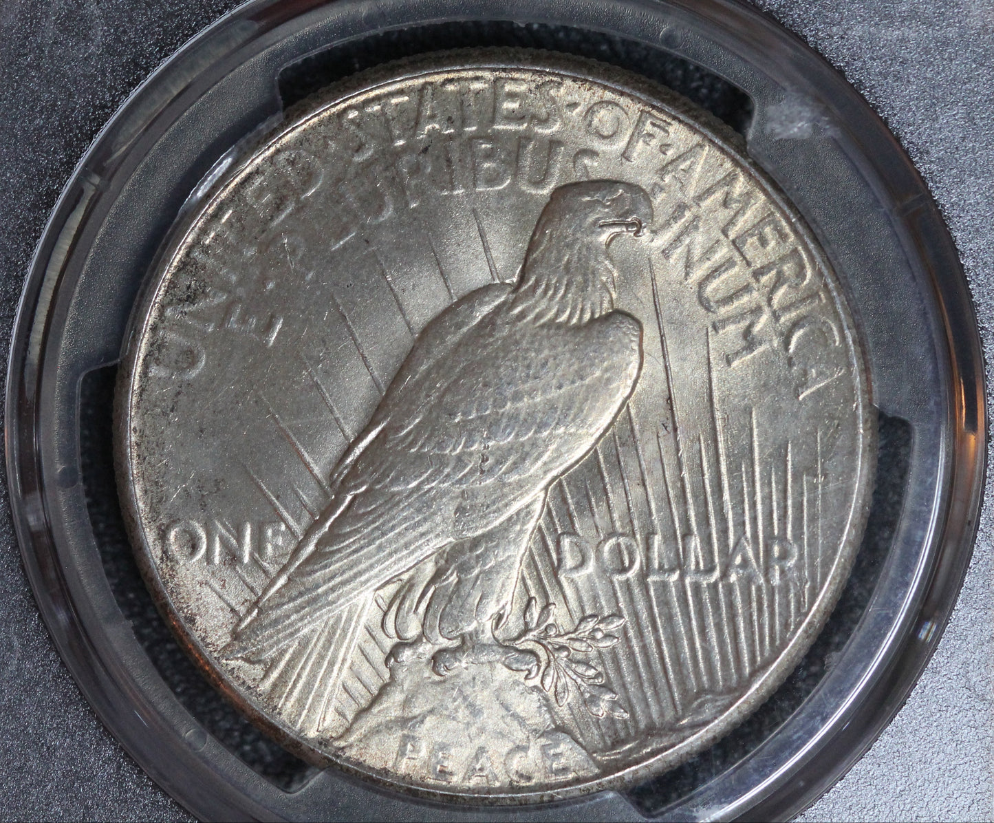 1926 Peace Dollar PCGS MS64 Top 50 VAM 2 Doubled Reverse