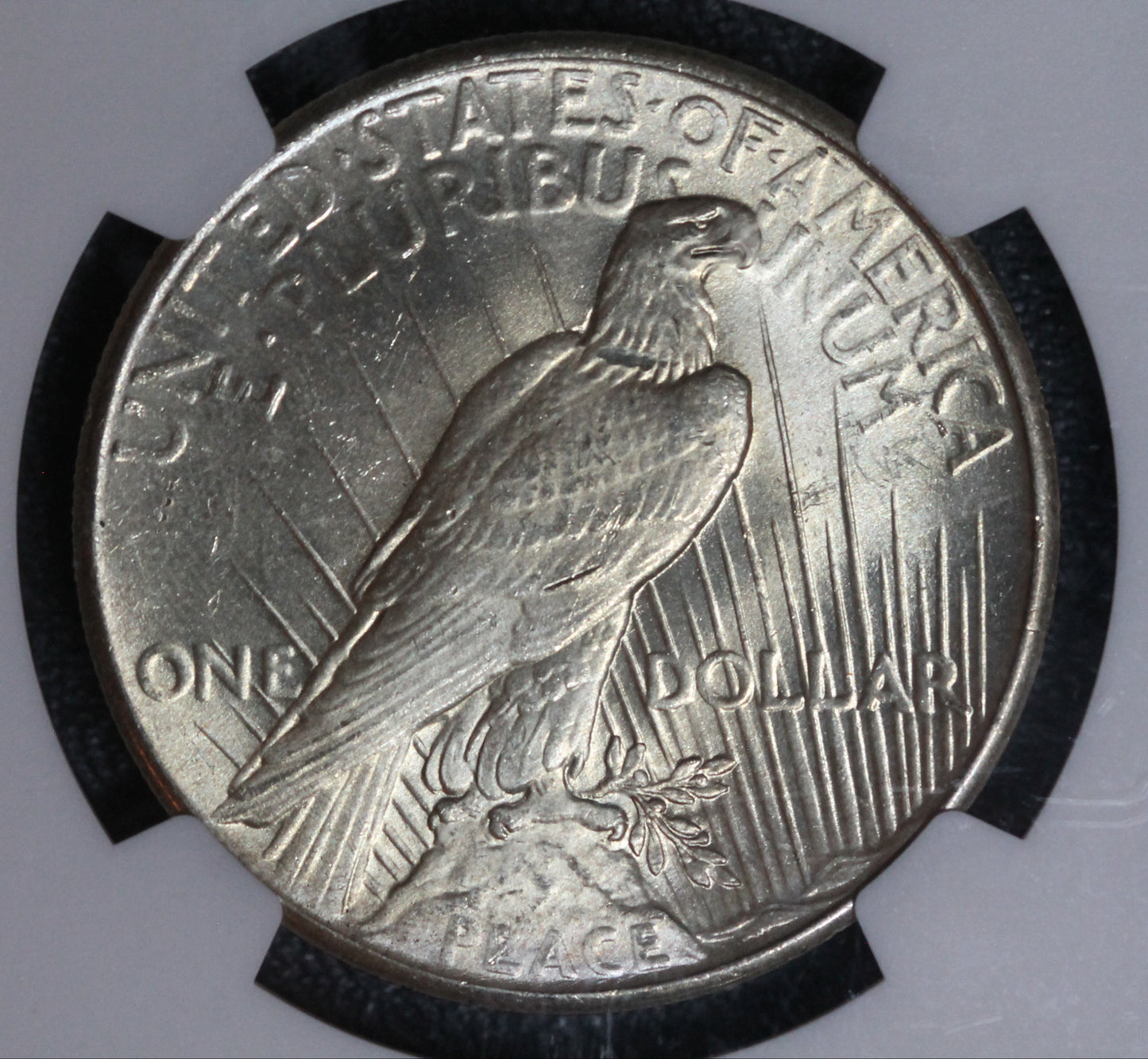 1926 Peace Dollar NGC MS64 CAC