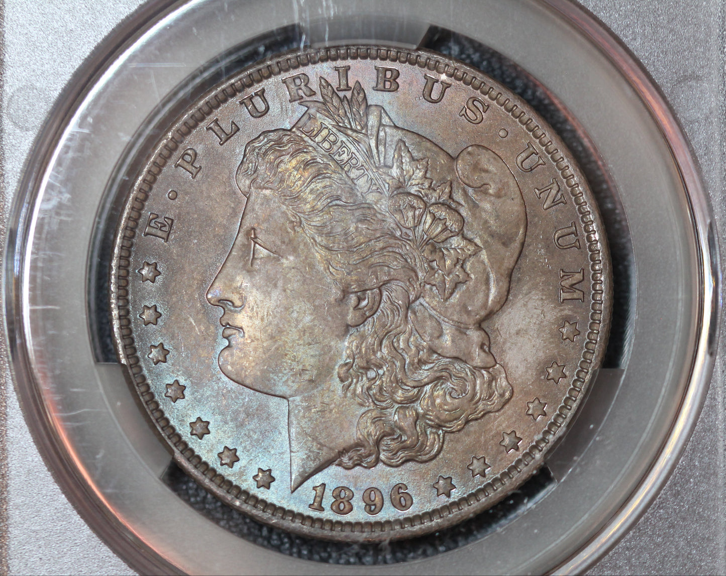 1896 Morgan Dollar CAC MS65